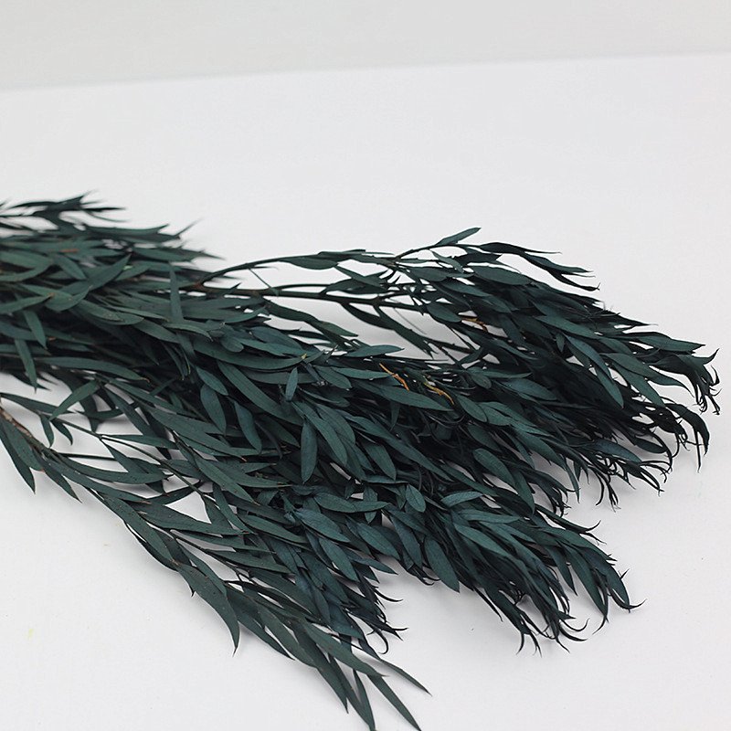 wholesale preserved flower small leave preserved eucalyptus for home decoration