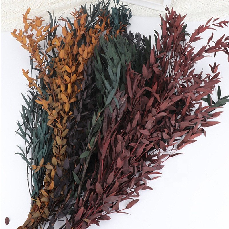wholesale preserved flower small leave preserved eucalyptus for home decoration