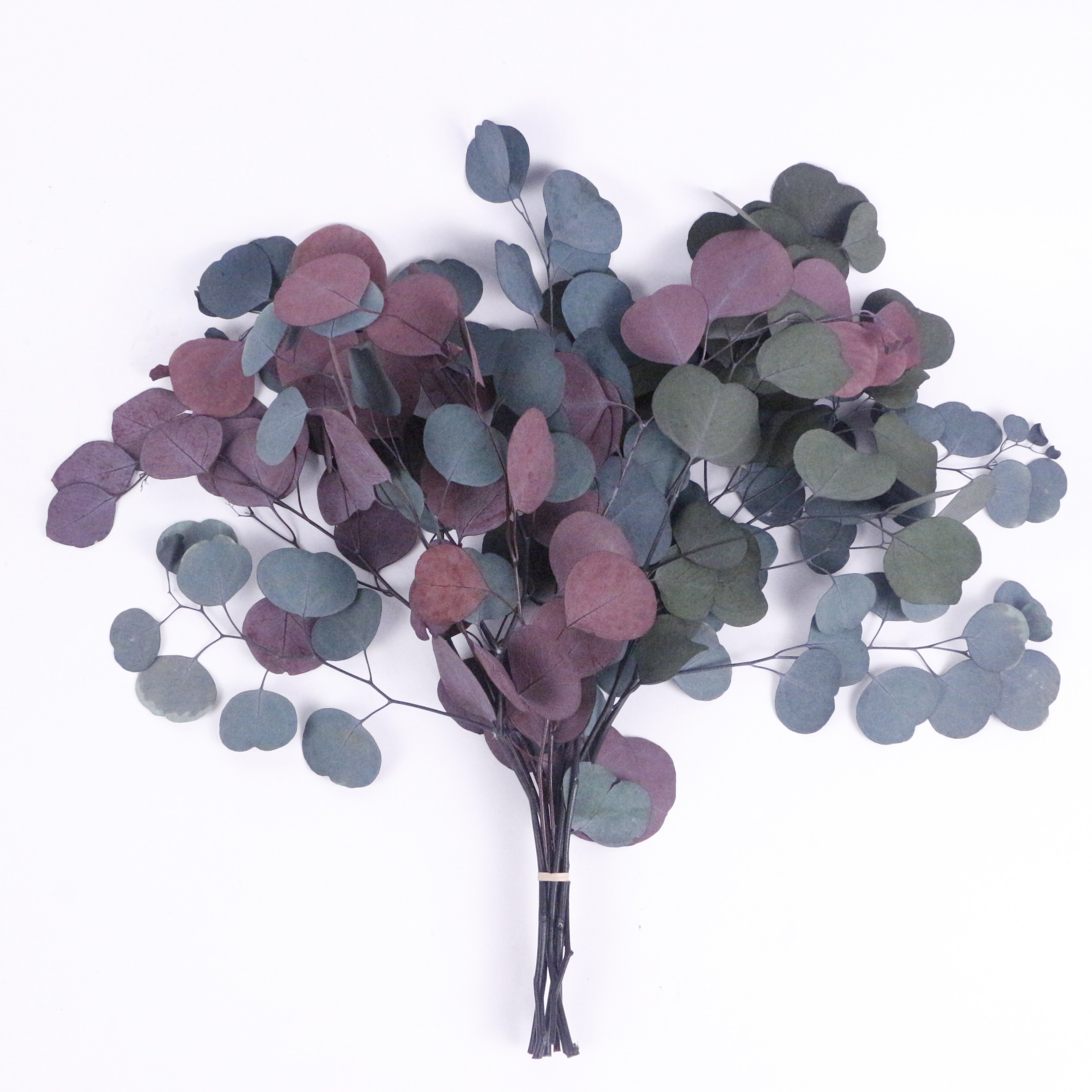 Factory direct sales Natural fresh hanging eucalyptus and lavender stems for bathing and furniture upholstery