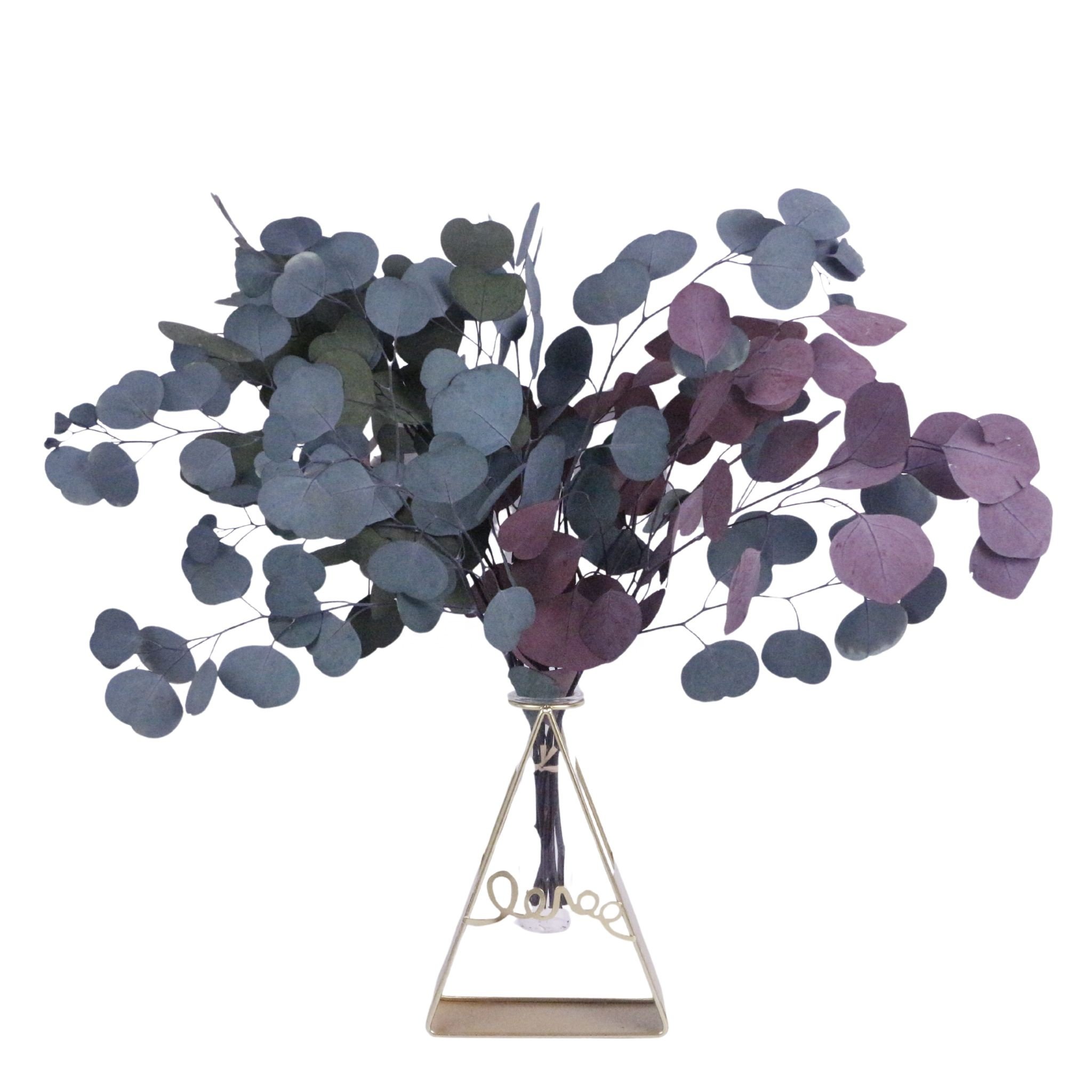 Factory direct sales Natural fresh hanging eucalyptus and lavender stems for bathing and furniture upholstery