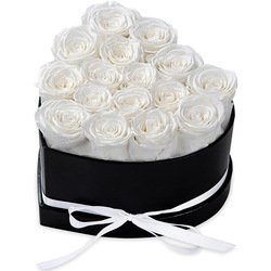 White-16pcs
