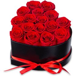 Red-16pcs