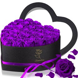 Purple-27pcs
