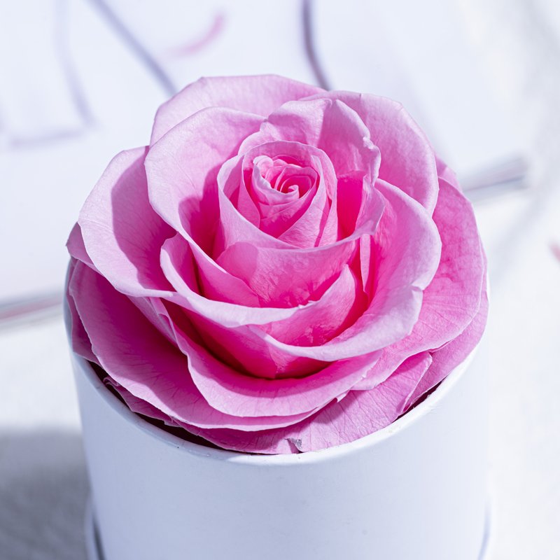 Mother's Day Luxury Eternal Preserved Roses Gift Box Wholesome Natural Christmas Flowers Everlasting Stabilized Rose Box