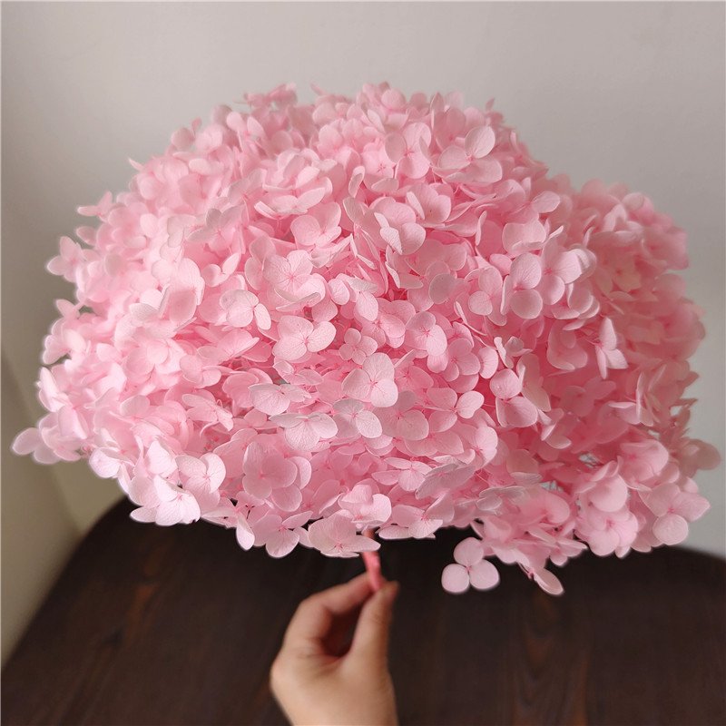 China Hot selling High Quality Decorative Preserved Flowers and Plants