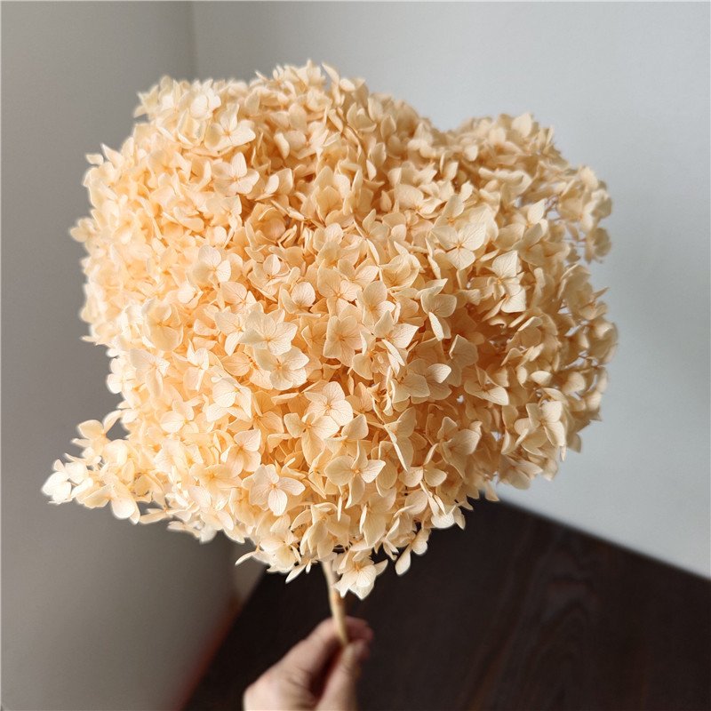 China Hot selling High Quality Decorative Preserved Flowers and Plants