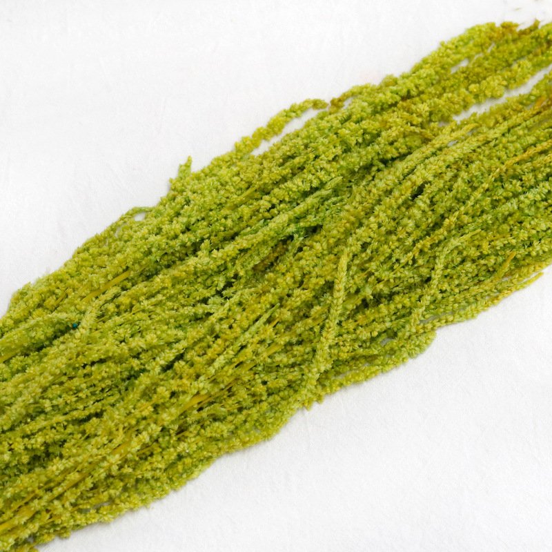 G71 Wedding Events Diy Flower Arrangement Decor Red White Black Amaranths Frozen Preserved Fresh Real Amaranth Dry Flower