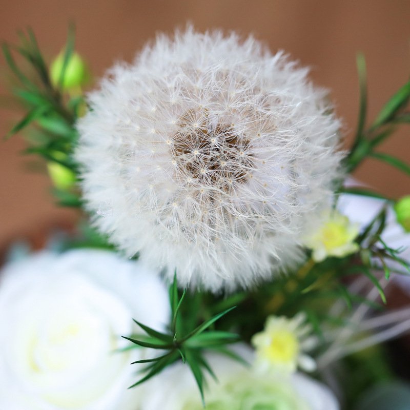 Wholesale dandelion immortal flower natural eternal preserved flowers in glass dome roses for Valentine's Day Gift Box