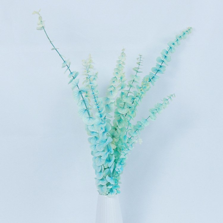 Fast Dispatch 2023 most popular preserved eucalyptus preserved Flower Decorative Flowers for Home Decoration