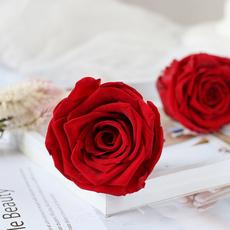 Eternal Life Natural Flower Material Gift Box Immortal Rose Flower dried rose Preserved Flowers Head Rose 5-6cm