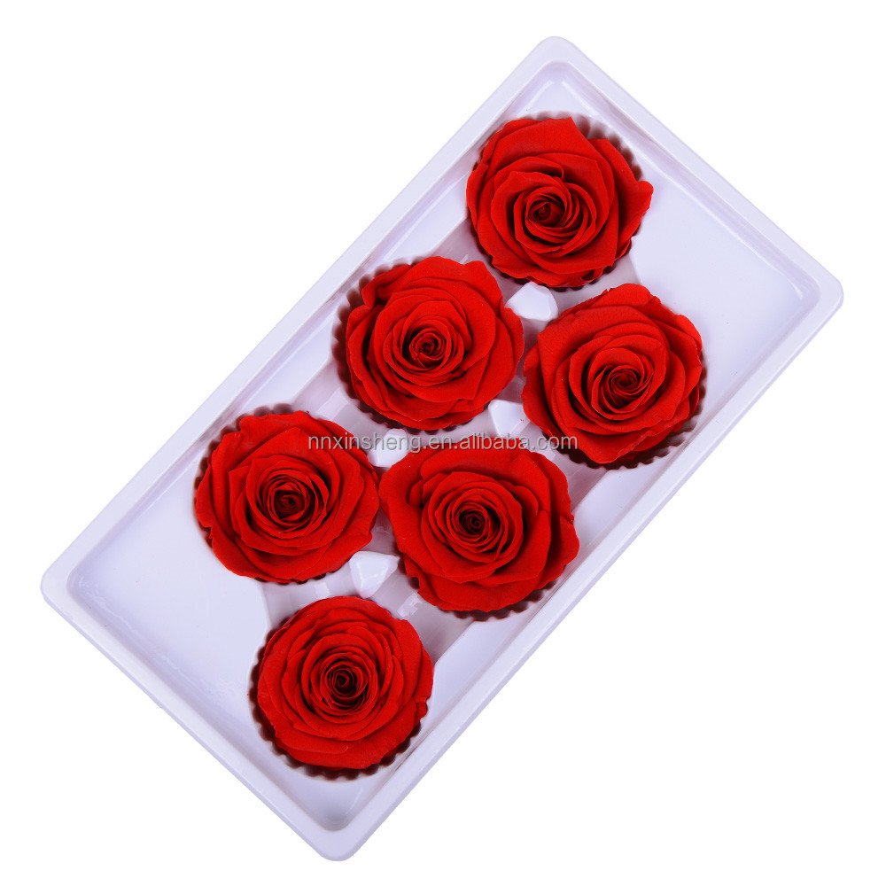 Eternal Life Natural Flower Material Gift Box Immortal Rose Flower dried rose Preserved Flowers Head Rose 5-6cm