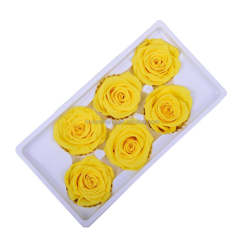 Eternal Life Natural Flower Material Gift Box Immortal Rose Flower dried rose Preserved Flowers Head Rose 5-6cm
