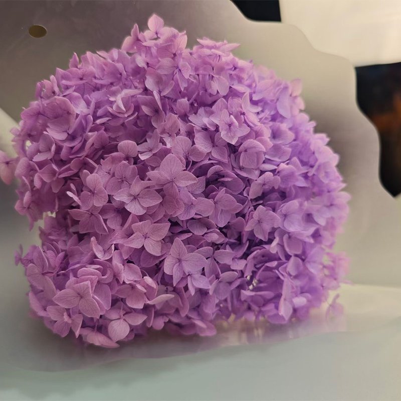 wholesale high quality preserved flower pink color small leaves Anna preserved hydrangea with single long stem