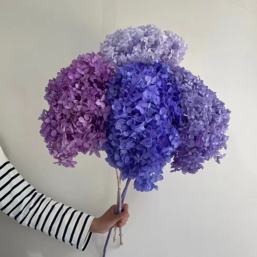 DIY Material Immortal Preserved Fresh hydrangea Flower the Colorful Forever Lasting hydrangea With branches