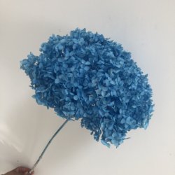 Azure