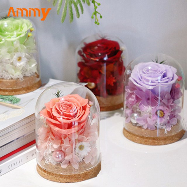 AM-PFA35 Ammy Preserved Flower Rose glass dome Red Eternal Flower With Glass Cover For Valentine's Day Gift mothers day