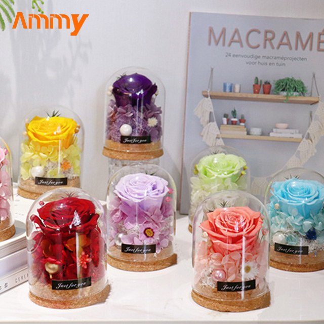 AM-PFA35 Ammy Preserved Flower Rose glass dome Red Eternal Flower With Glass Cover For Valentine's Day Gift mothers day