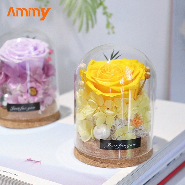 AM-PFA35 Ammy Preserved Flower Rose glass dome Red Eternal Flower With Glass Cover For Valentine's Day Gift mothers day