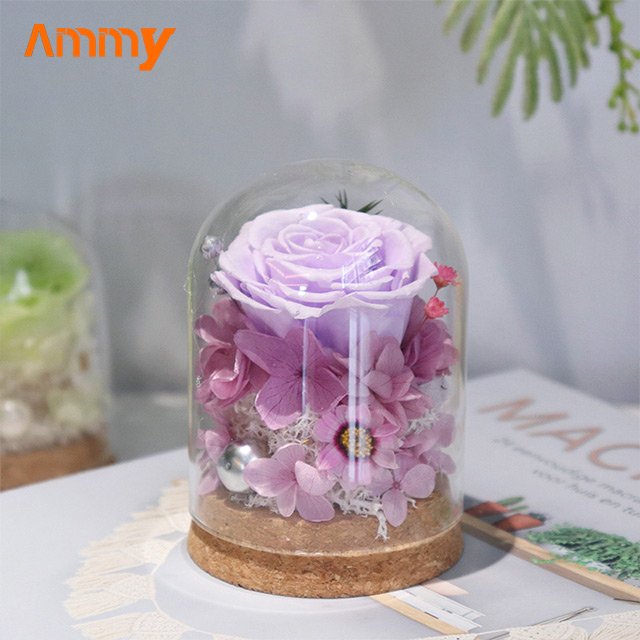 AM-PFA35 Ammy Preserved Flower Rose glass dome Red Eternal Flower With Glass Cover For Valentine's Day Gift mothers day
