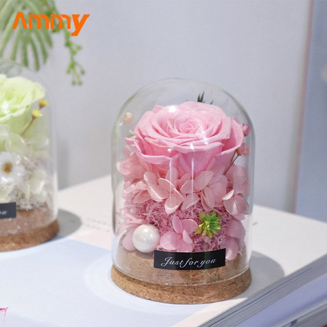 AM-PFA35 Ammy Preserved Flower Rose glass dome Red Eternal Flower With Glass Cover For Valentine's Day Gift mothers day