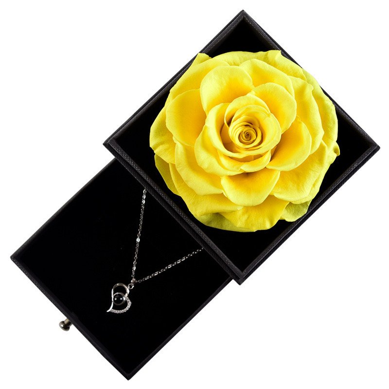 Preserved Rose Jewelry Gift Box with Preserved Natural Roses Eternal Life Flowers for Loved Ones Gifts for Women Mom Girlfriend