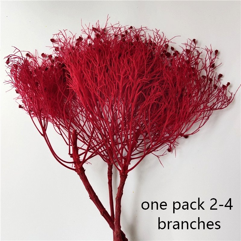 Preserved natural rush grass dream flower, silk feather star style, home decoration, floral arrangement materials