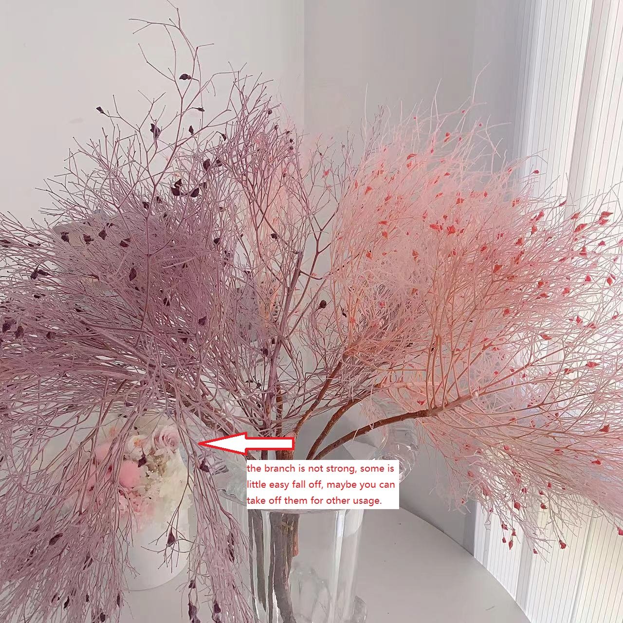 Preserved natural rush grass dream flower, silk feather star style, home decoration, floral arrangement materials