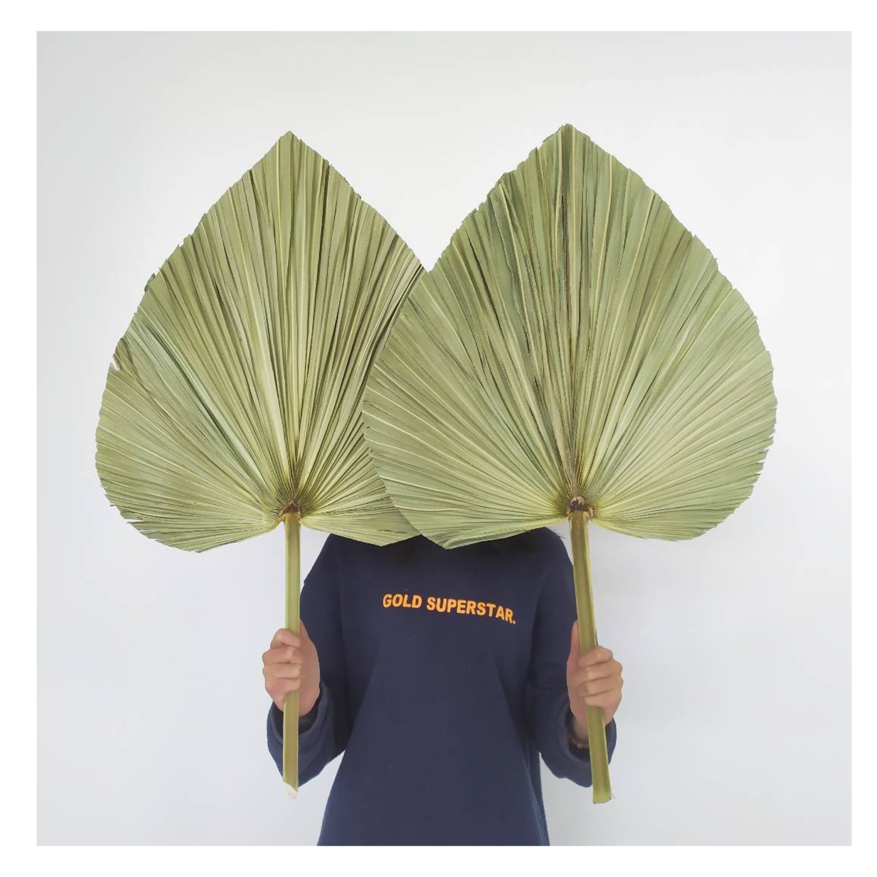 New Year Decor 2024 Dried Palm Leaves Palm Leaf Plates For Flower Bouquet & Wedding Decoration