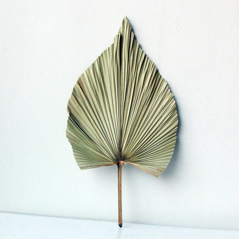 New Year Decor 2024 Dried Palm Leaves Palm Leaf Plates For Flower Bouquet & Wedding Decoration