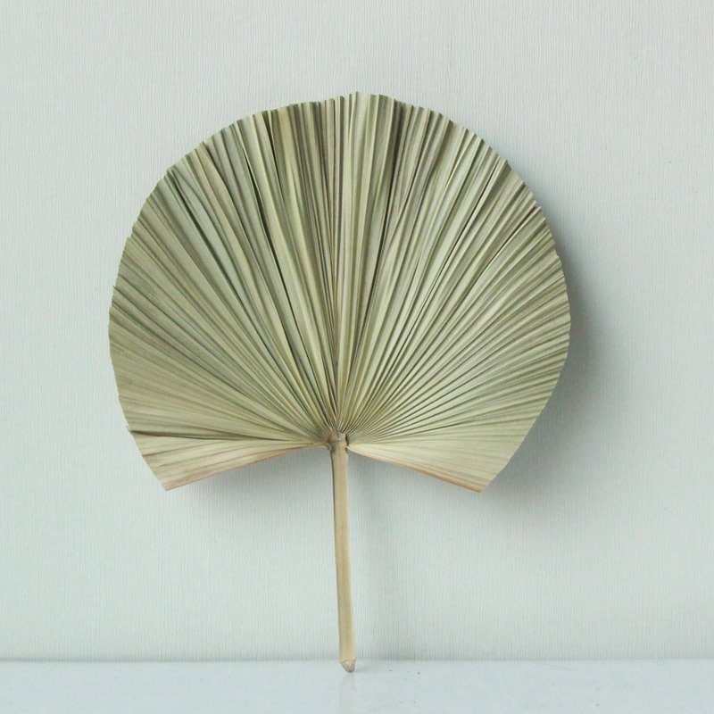 New Year Decor 2024 Dried Palm Leaves Palm Leaf Plates For Flower Bouquet & Wedding Decoration