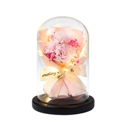 Carnation