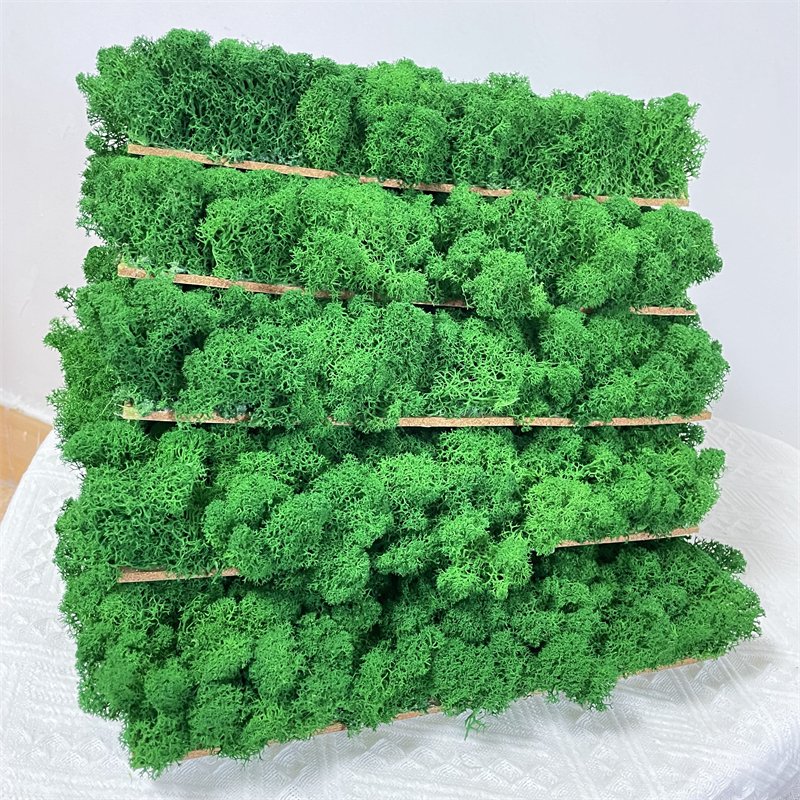 2024 Hot Sale Decorative Flowers & Wreaths,green Plants Wall Preserved Moss Fresh Real Preserved Moss Panel