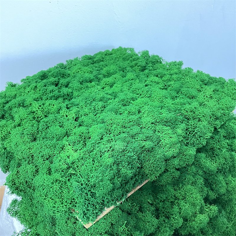 2024 Hot Sale Decorative Flowers & Wreaths,green Plants Wall Preserved Moss Fresh Real Preserved Moss Panel