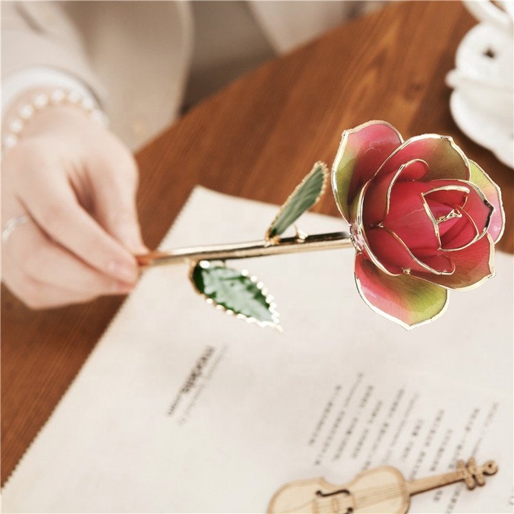 Factory OEM ODM rainbow real natural preserved rose 24K gold dipped rose for mother and girlfriend