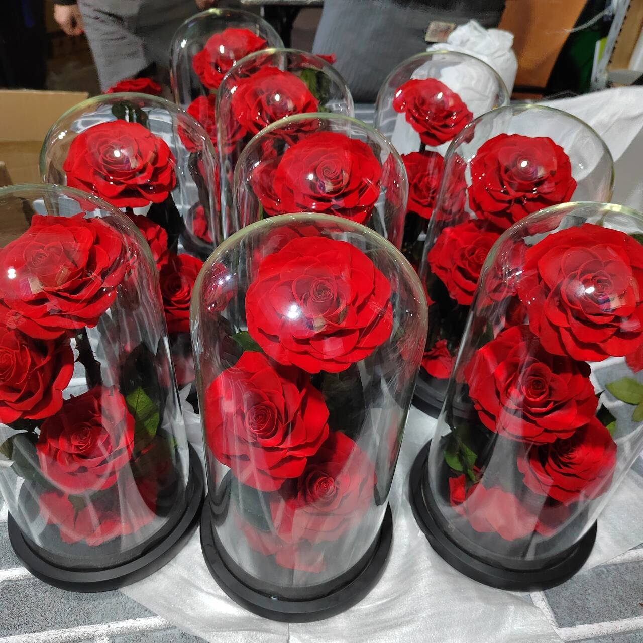 Low Price Flower Valentines Day Gift Long Life Lasting Real Natural Everlasting Immortal Roses Forever Eternal Rose in Glass