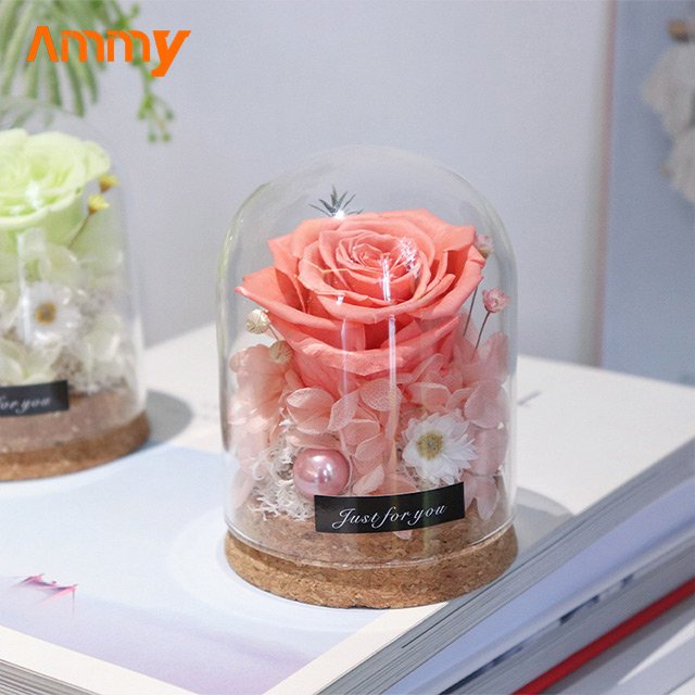 AM-PFA35 Ammy Mothers Day Gifts Preserved Roses Real Touch Rose Eternal Flower in Glass Dome Gift for valentine's Day
