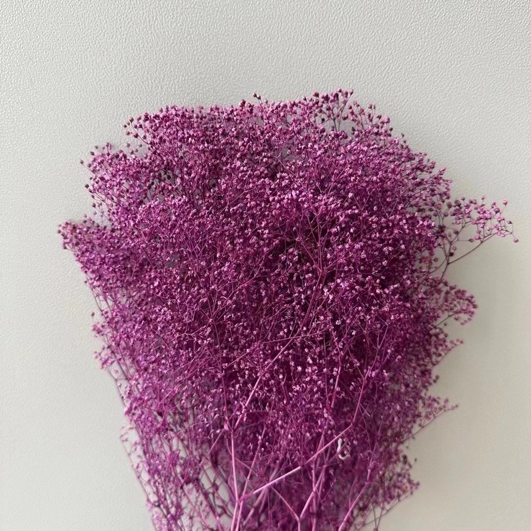 Colorful Dried Gypsophila paniculata baby'sbreath Wedding Floral Decoration Real Preserved Flower Million Star Mini Gypsophila