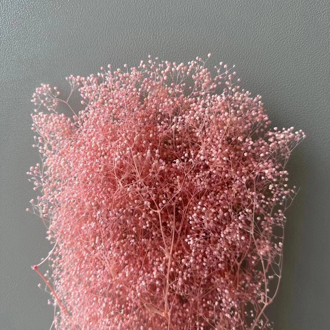 Colorful Dried Gypsophila paniculata baby'sbreath Wedding Floral Decoration Real Preserved Flower Million Star Mini Gypsophila