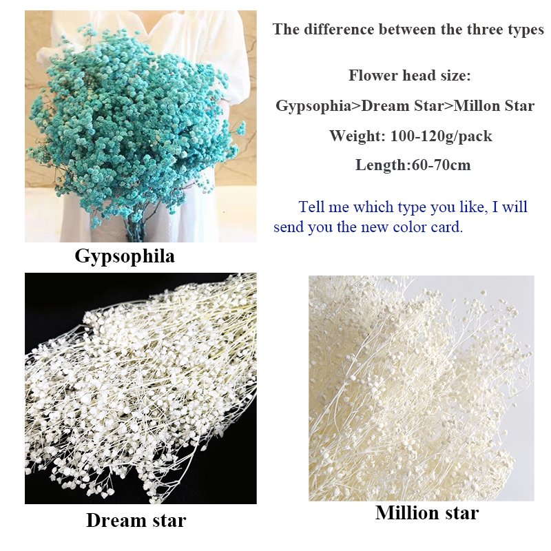 Colorful Dried Gypsophila paniculata baby'sbreath Wedding Floral Decoration Real Preserved Flower Million Star Mini Gypsophila