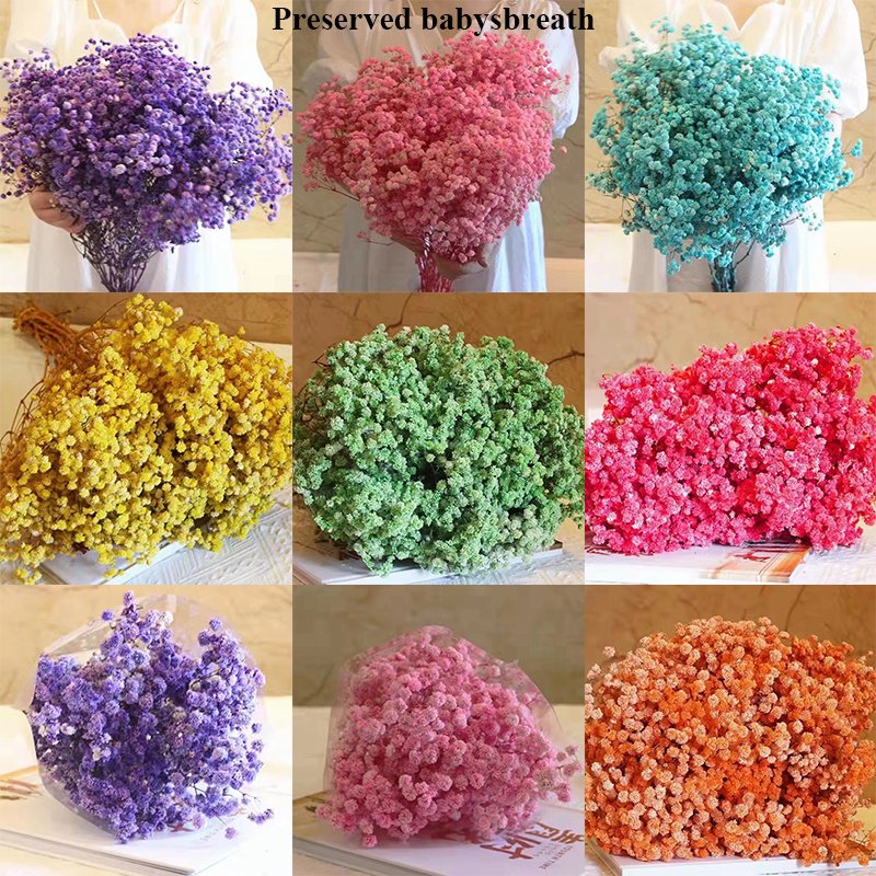 Colorful Dried Gypsophila paniculata baby'sbreath Wedding Floral Decoration Real Preserved Flower Million Star Mini Gypsophila