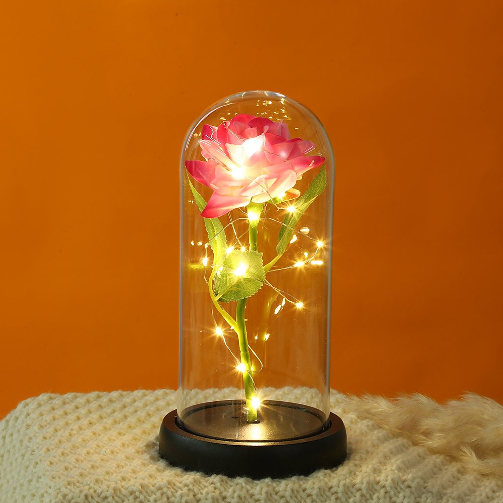 Home Decorative Transparent Acrylic Dome Display Led Light Lamp Acrylic Cloche Dome