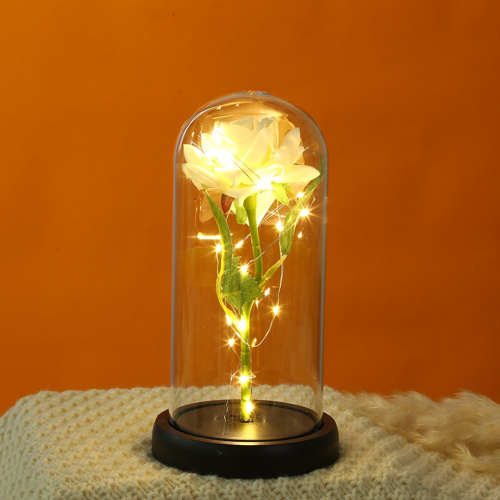 Home Decorative Transparent Acrylic Dome Display Led Light Lamp Acrylic Cloche Dome