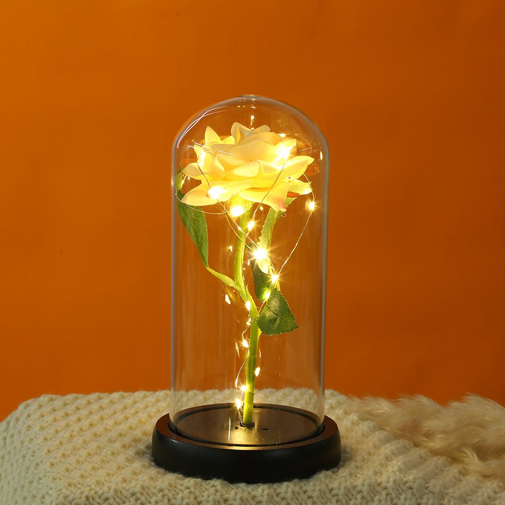 Home Decorative Transparent Acrylic Dome Display Led Light Lamp Acrylic Cloche Dome