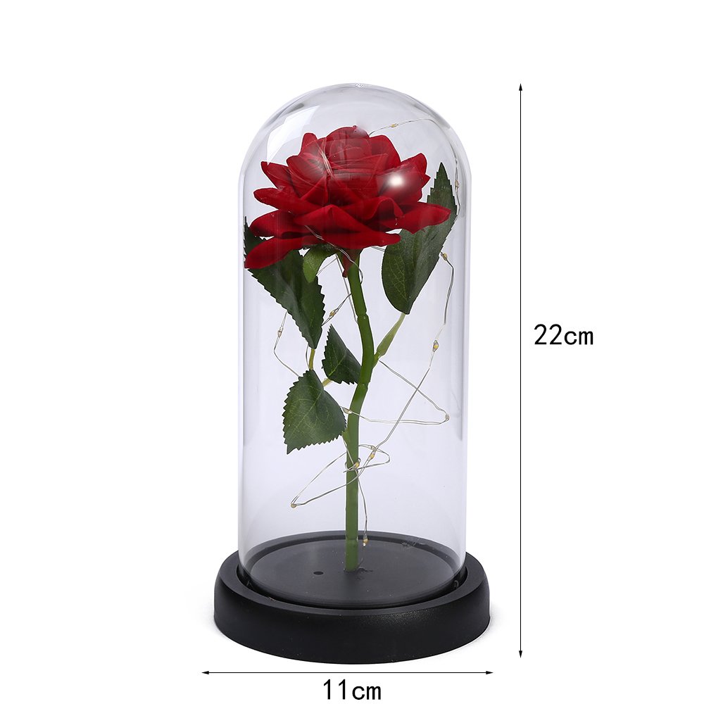 Home Decorative Transparent Acrylic Dome Display Led Light Lamp Acrylic Cloche Dome