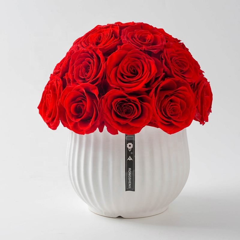 Red Preserved Rose Bouquet Decorative Home Decor Real Preserved Rose In Vase Everlasting Roses