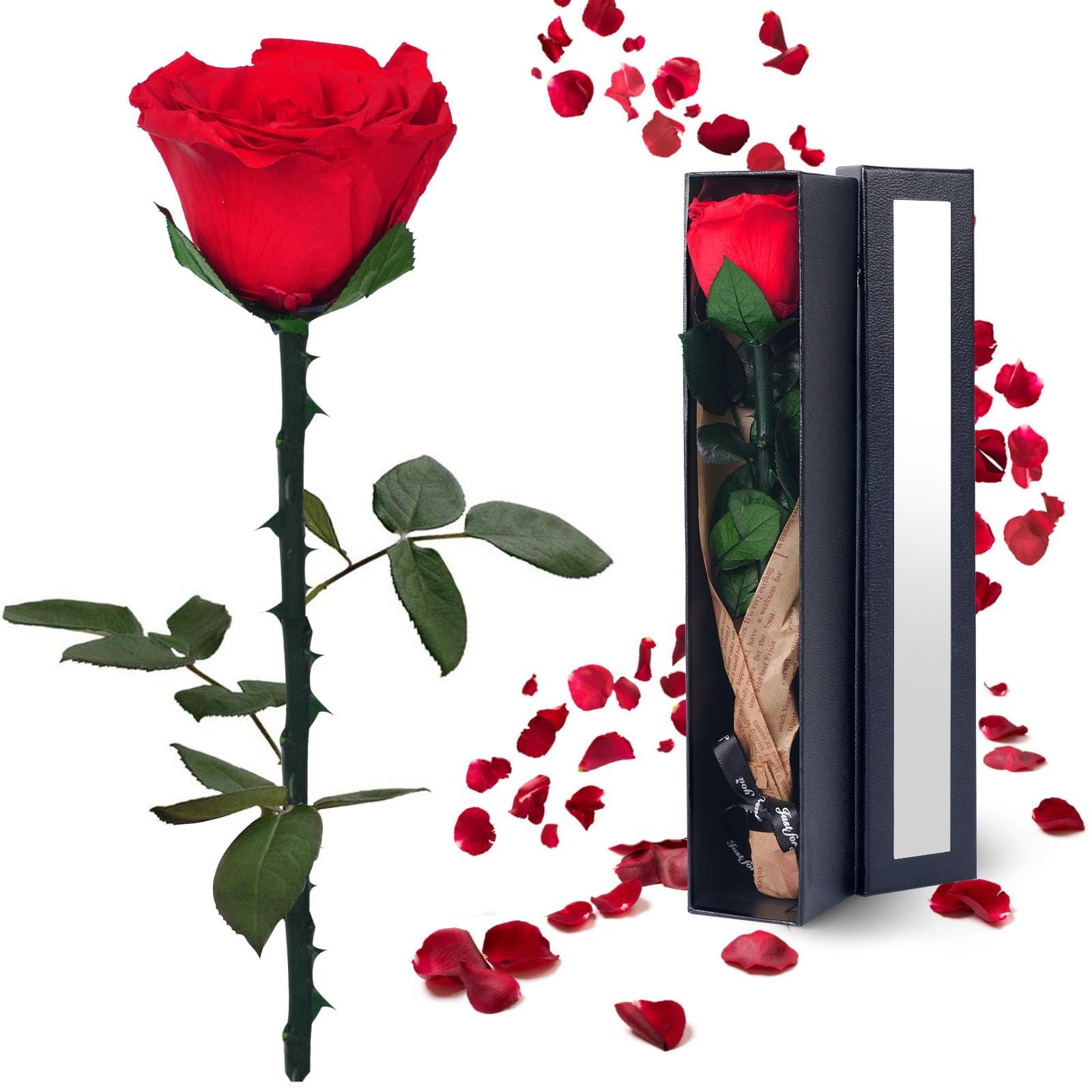 TC Amazon Lasting Stabilized Preserved Flower With Gift Box Immortal Flower For Mothers Valentines Day Eternal Roses In Box Gift