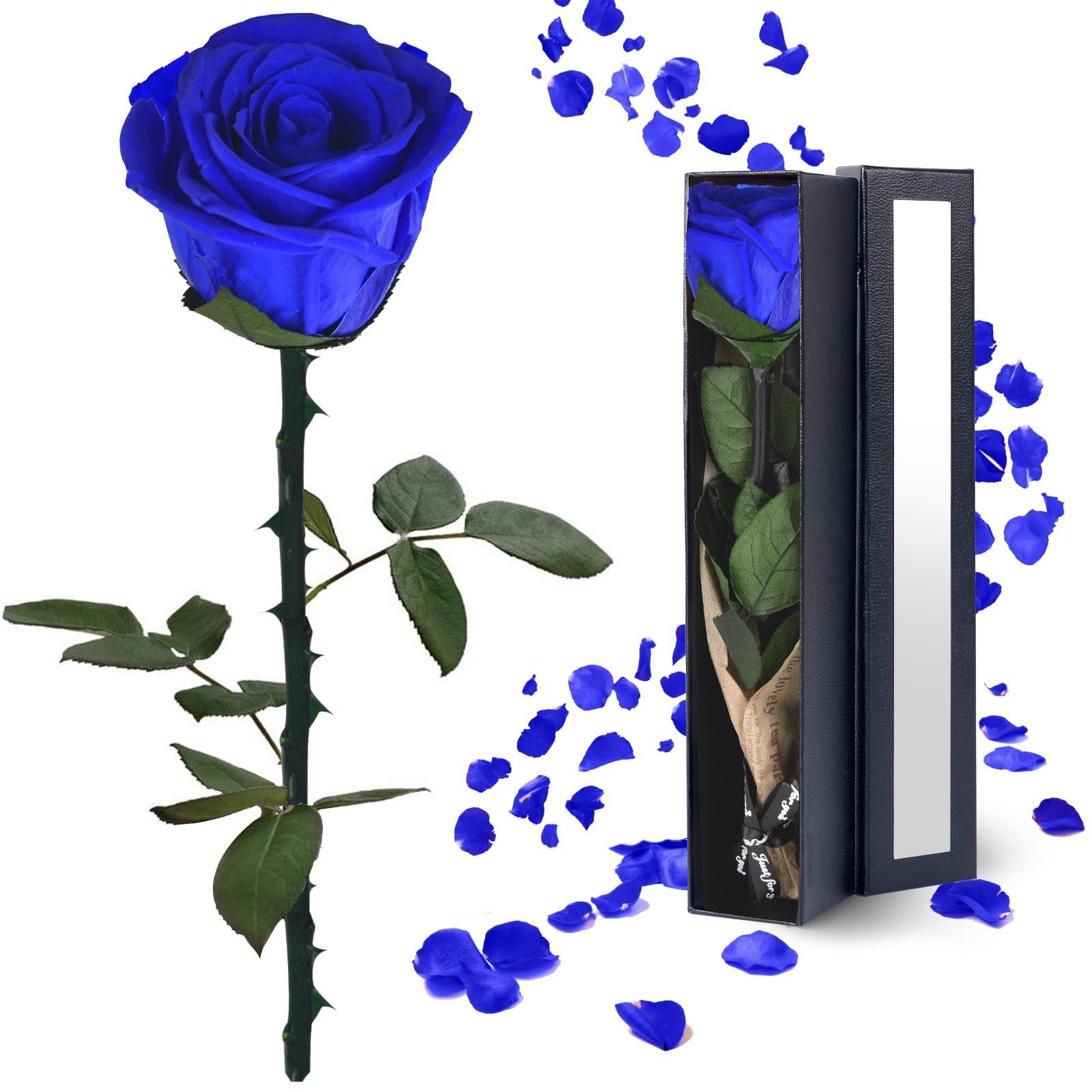 TC Amazon Lasting Stabilized Preserved Flower With Gift Box Immortal Flower For Mothers Valentines Day Eternal Roses In Box Gift