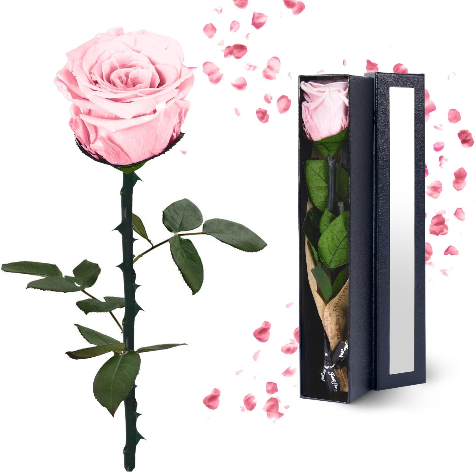TC Amazon Lasting Stabilized Preserved Flower With Gift Box Immortal Flower For Mothers Valentines Day Eternal Roses In Box Gift