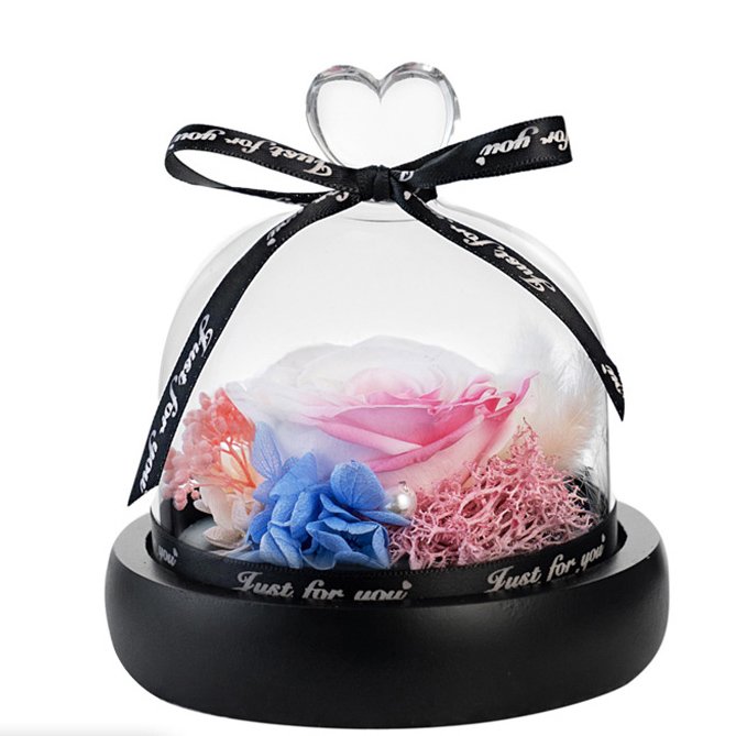 Wholesale preserved flowers roses fresh cut flowers everlasting heart in glass dome