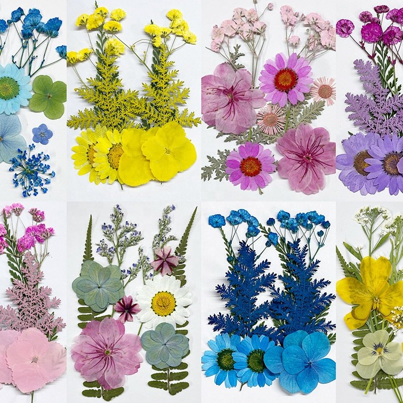 Hot Selling DIY Mixed Real Natural Dried Pressed flowers and leaves for resin crafts